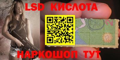 стаф Можга