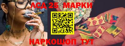 стаф Можга