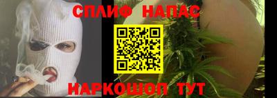 стаф Можга