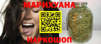 стаф Можга