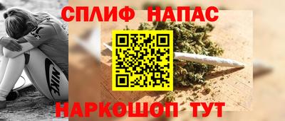 стаф Можга