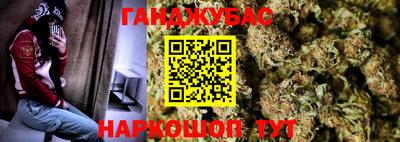 стаф Можга