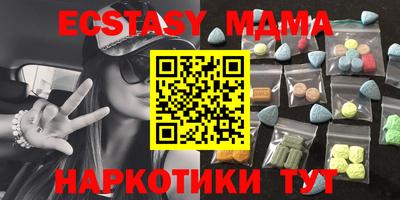 стаф Можга