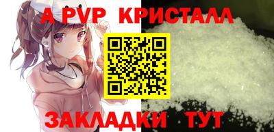 стаф Можга