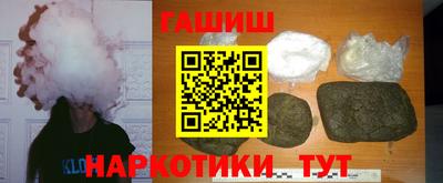 стаф Можга
